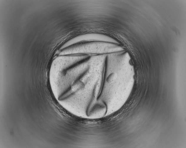 X0000111870405200908201221