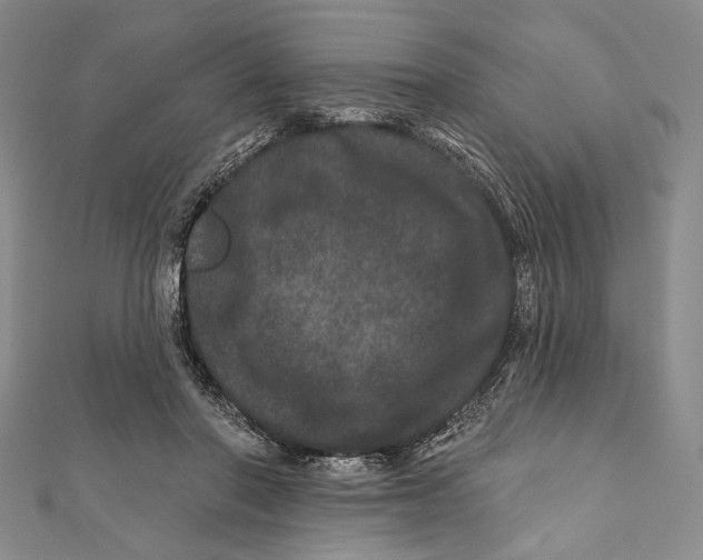 X0000111870406200908201221