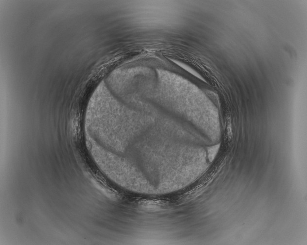 X0000111870408200908201221