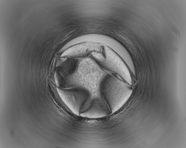 X0000111870409200908201221