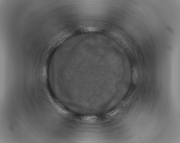 X0000111870410200908201221