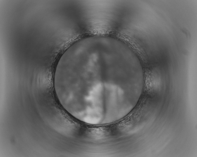 X0000111870411200908201221