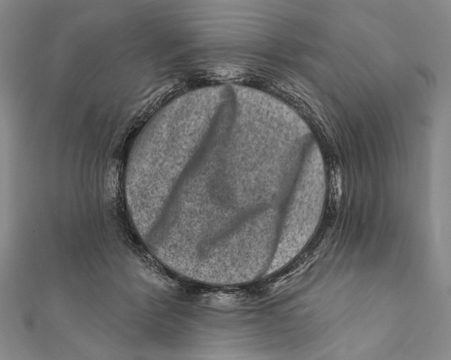 X0000111870412200908201221