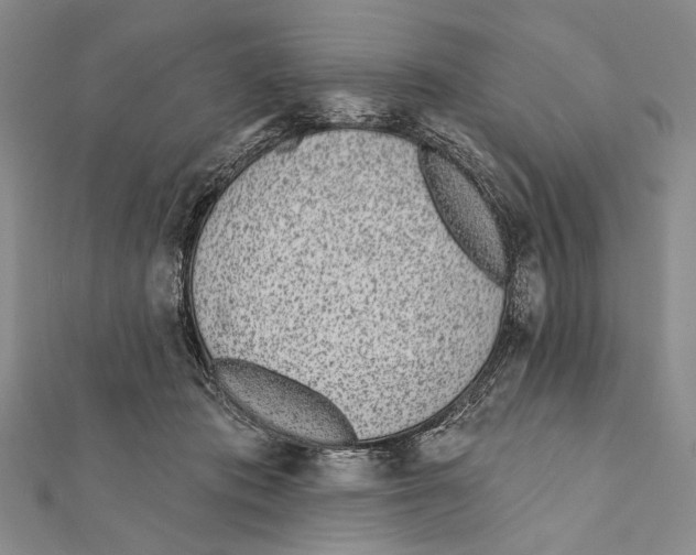 X0000111870413200908201221