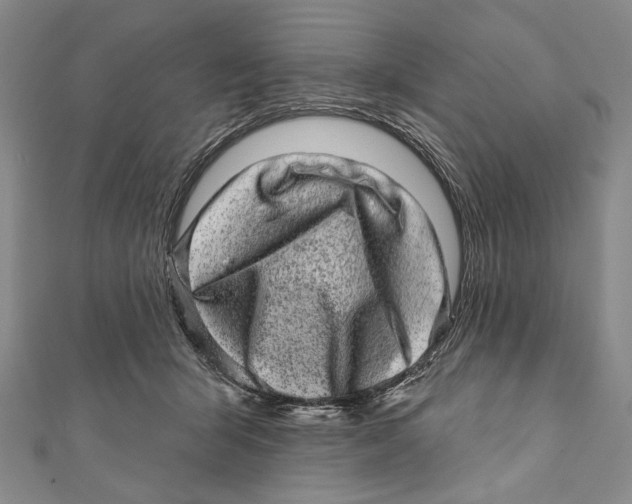 X0000111870415200908201221