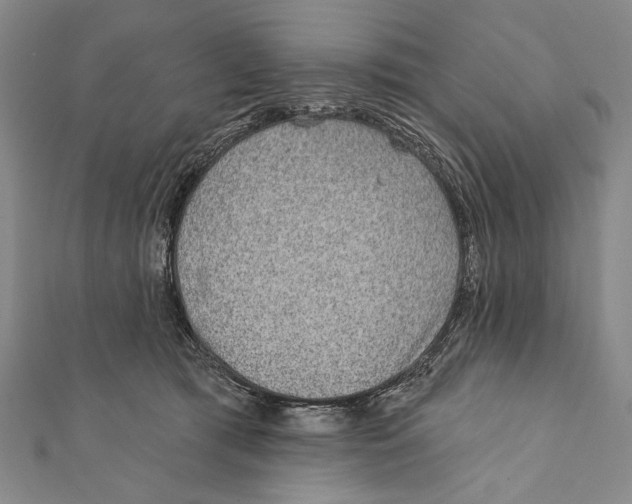 X0000111870417200908201221