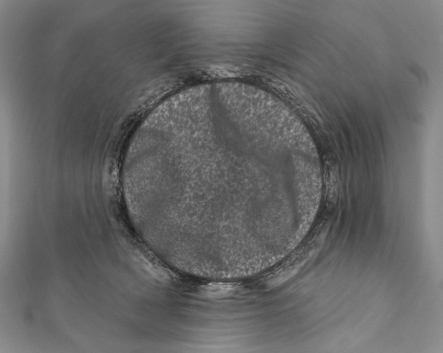 X0000111870418200908201221