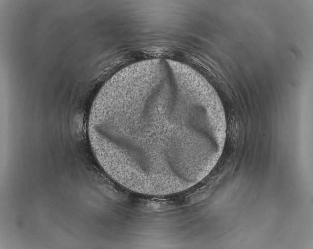 X0000111870420200908201221