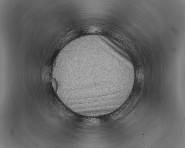 X0000111870421200908201221