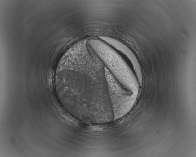 X0000111870423200908201221