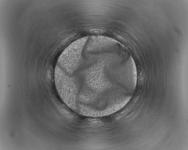 X0000111870424200908201221