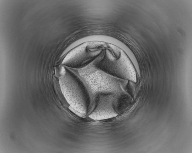 X0000111870425200908201221