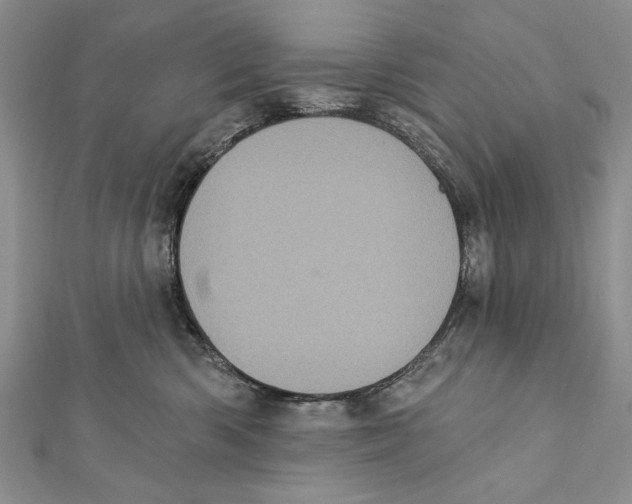 X0000111870426200908201221