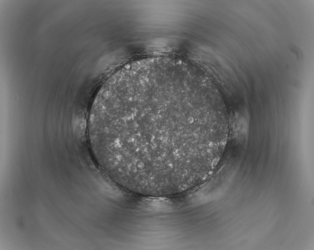 X0000111870427200908201221