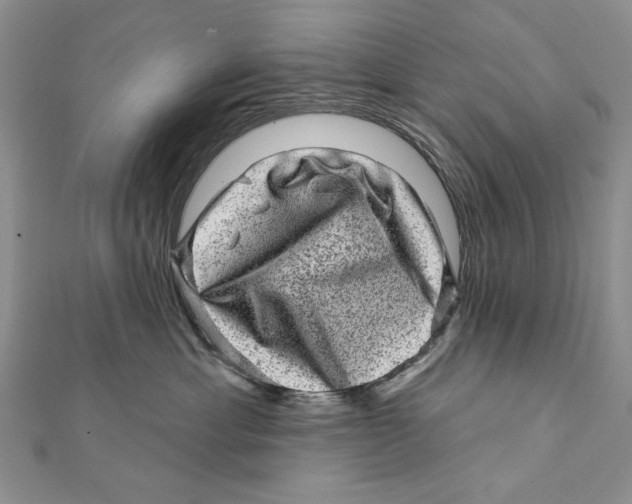 X0000111870429200908201221