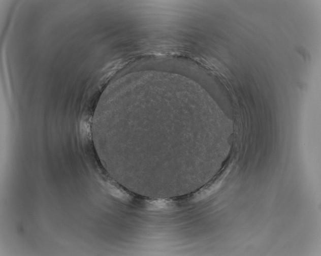 X0000111870432200908201221