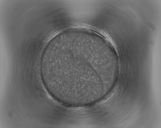 X0000111870433200908201220