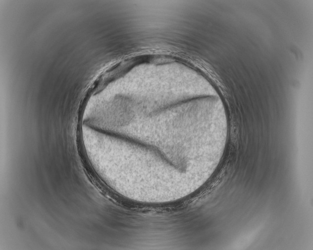 X0000111870434200908201220