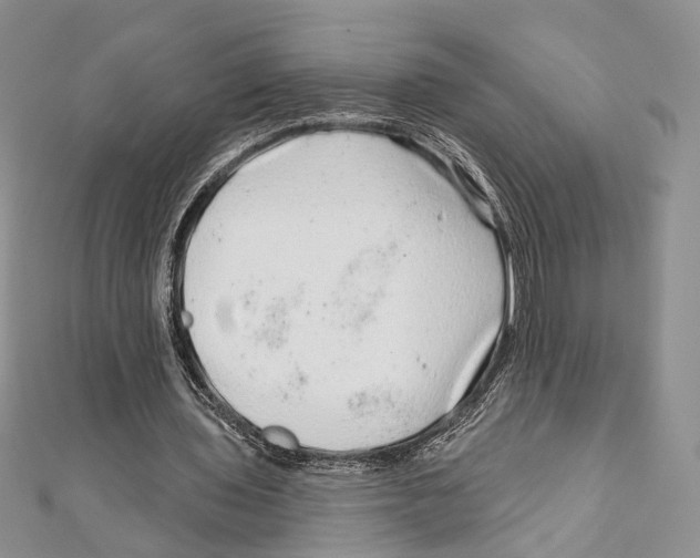 X0000111870435200908201220