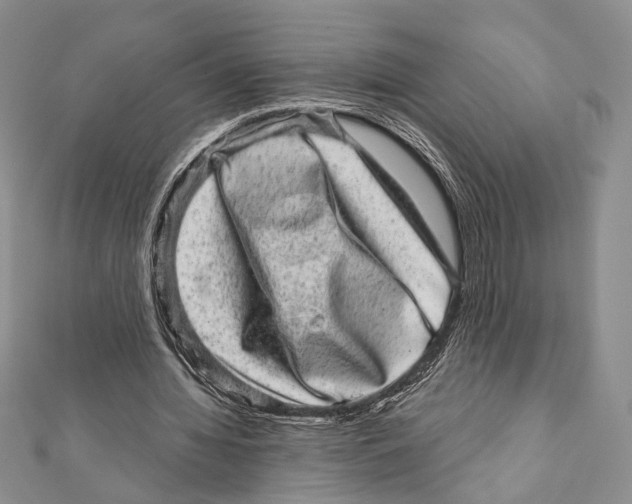 X0000111870436200908201220