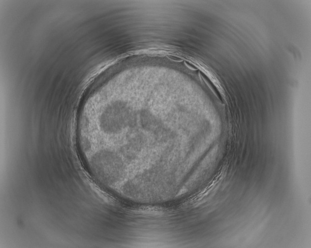 X0000111870437200908201220