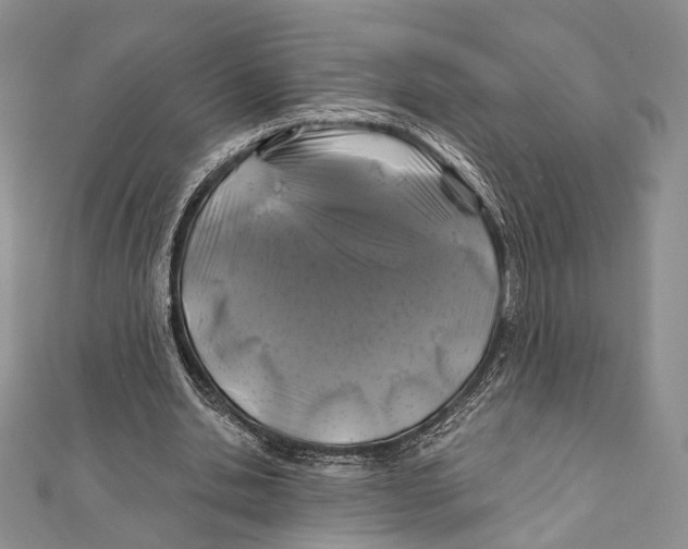 X0000111870438200908201220