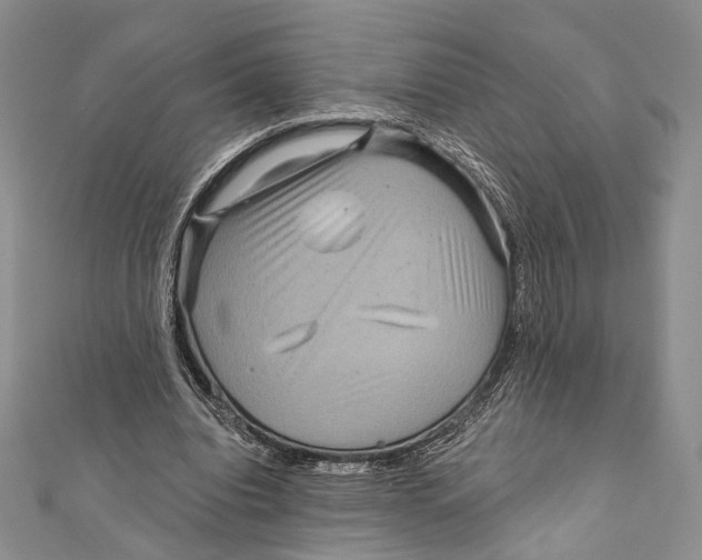 X0000111870440200908201220