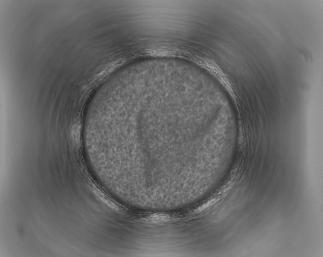 X0000111870441200908201220