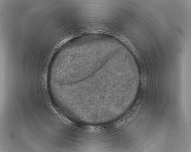 X0000111870442200908201220