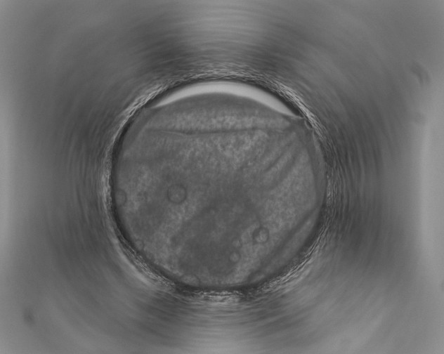 X0000111870443200908201220