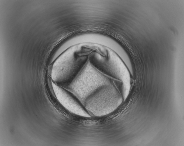 X0000111870444200908201220