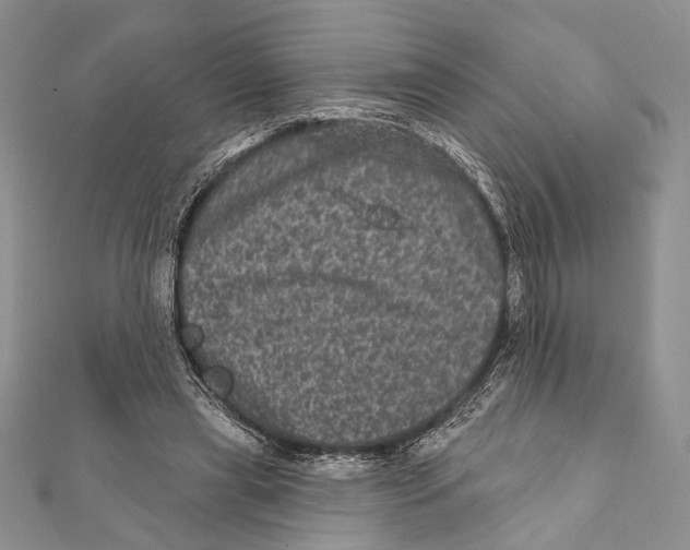 X0000111870445200908201220