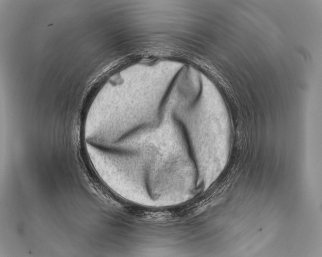 X0000111870446200908201220