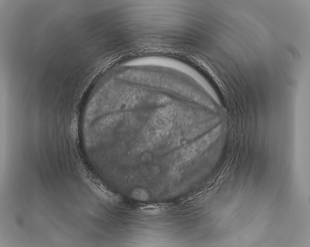 X0000111870447200908201220