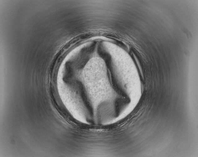 X0000111870448200908201220