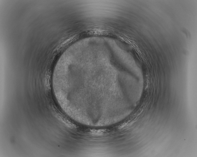 X0000111870450200908201220