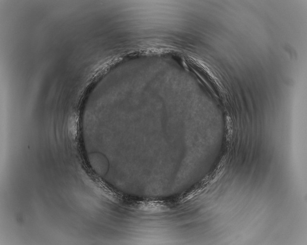 X0000111870451200908201220