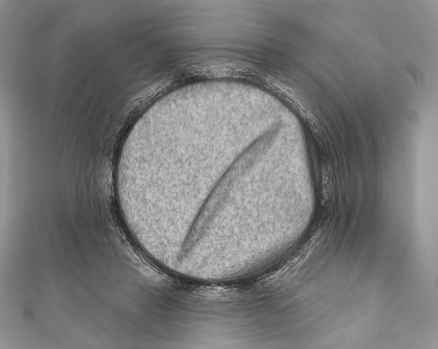 X0000111870453200908201220