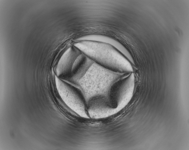 X0000111870456200908201220