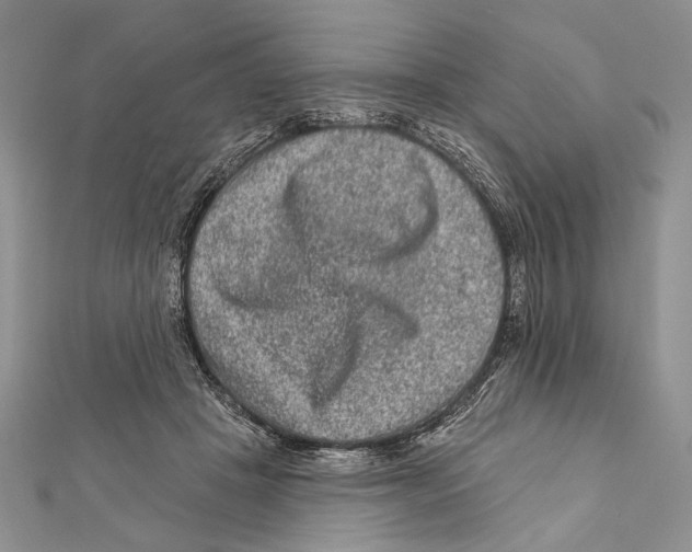 X0000111870457200908201220