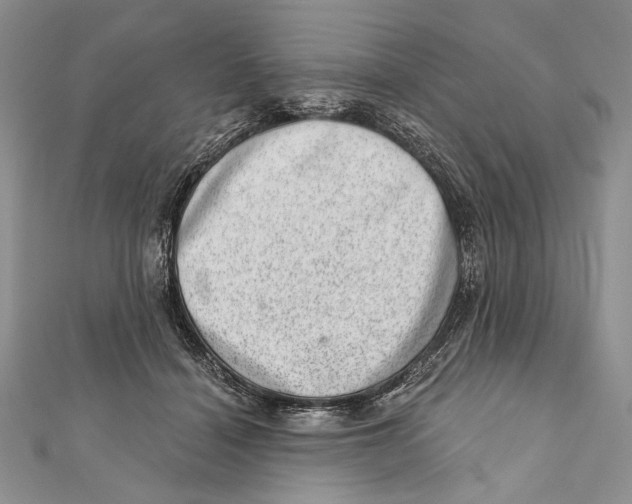 X0000111870460200908201220