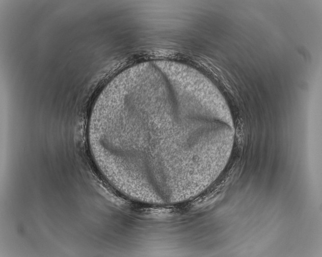 X0000111870462200908201220