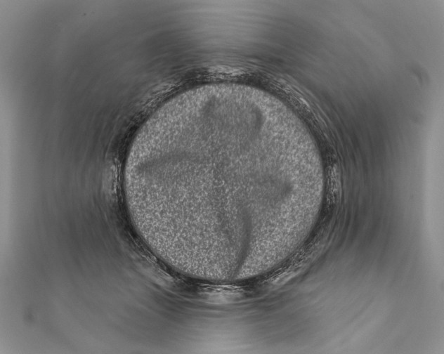 X0000111870463200908201220