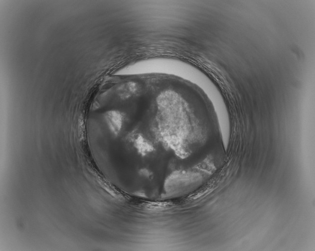 X0000111870465200908201220