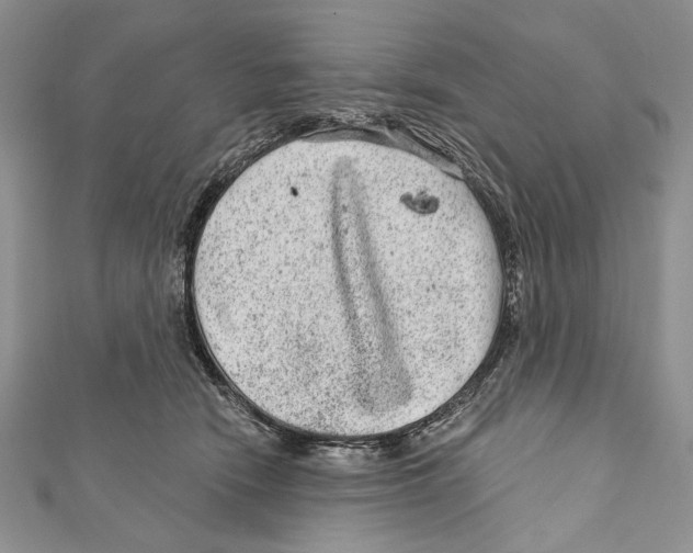 X0000111870466200908201220