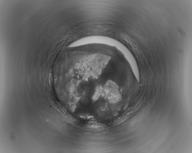 X0000111870467200908201220