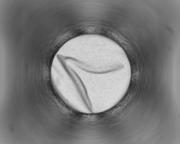 X0000111870469200908201220