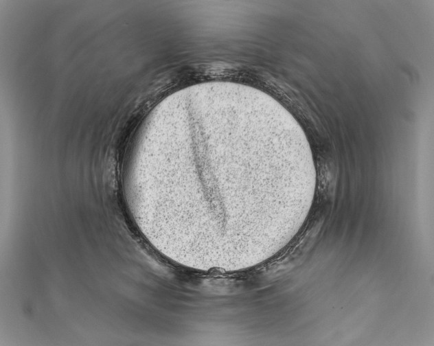 X0000111870470200908201220