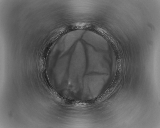 X0000111870471200908201220