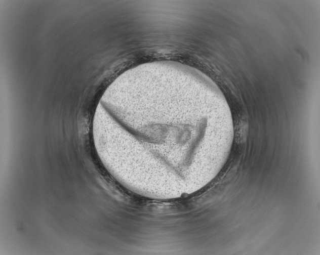 X0000111870472200908201220